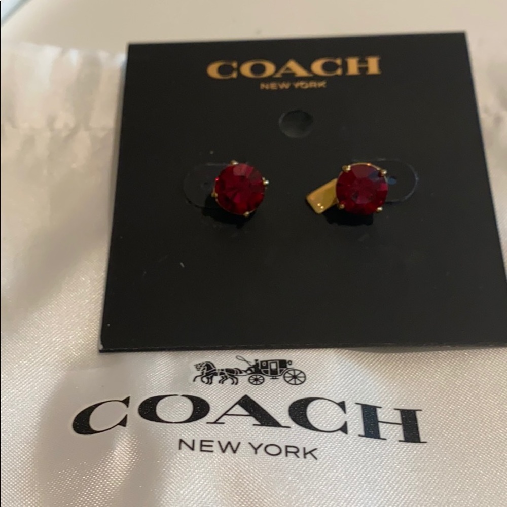 Coach Ruby look earrings